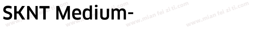 SKNT Medium字体转换